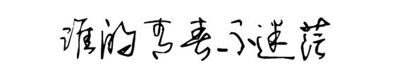 同學(xué)錄創(chuàng)意素材--誰(shuí)的青春不迷茫